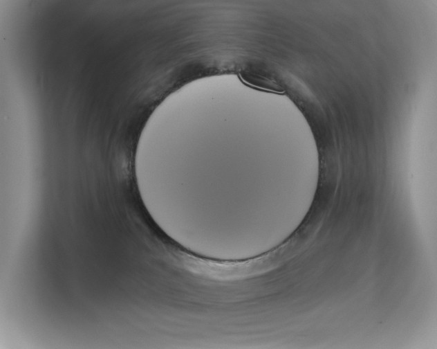 X0000111480039200908041131