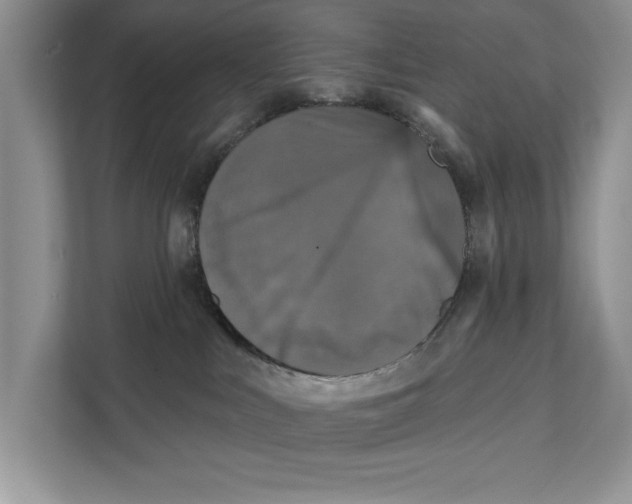 X0000111480043200908041131