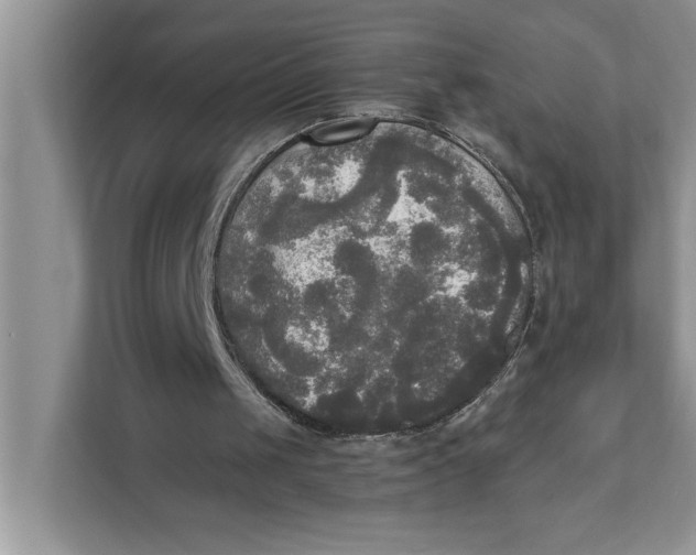 X0000111480049200908041130