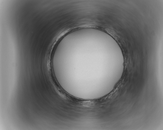 X0000111480050200908041130
