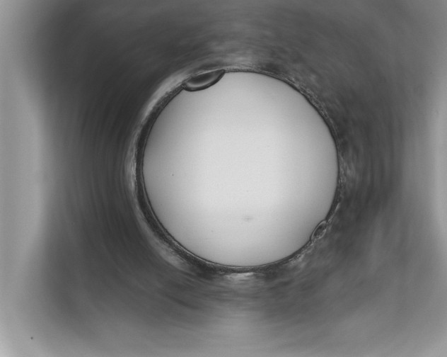 X0000111480054200908041130