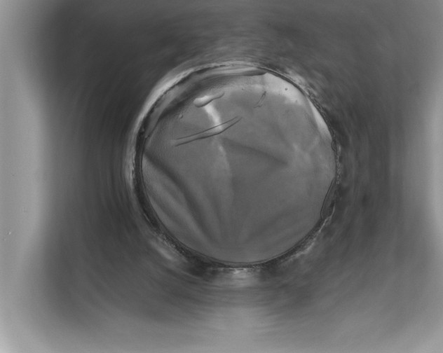 X0000111480056200908041130