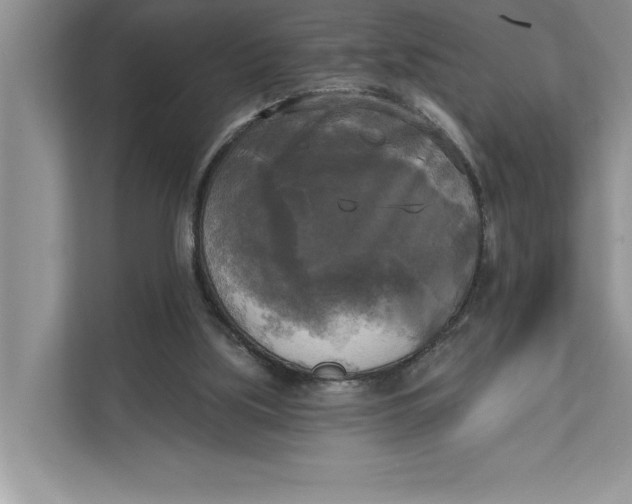 X0000111480059200908041130