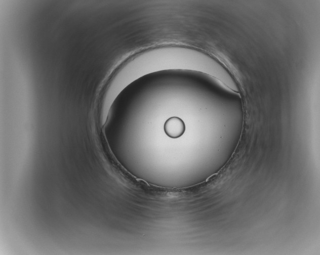 X0000111480060200908041130