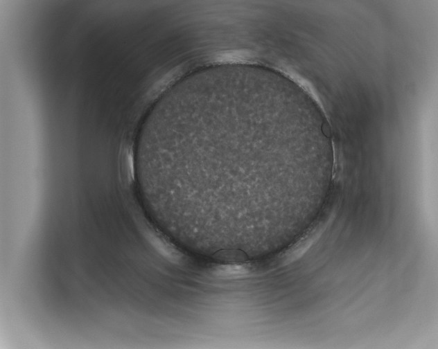 X0000111480061200908041130
