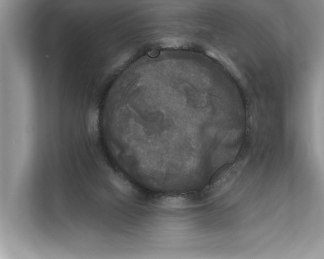 X0000111480066200908041130