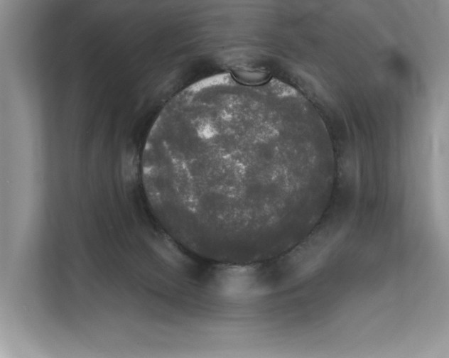 X0000111480081200908041130