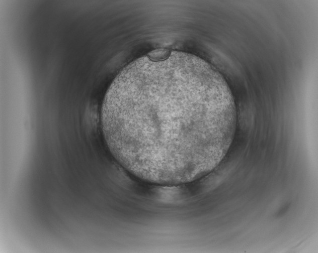 X0000111480085200908041130
