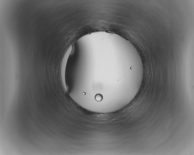X0000111480088200908041131