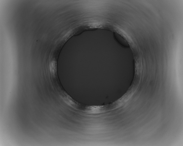 X0000111480093200908041131
