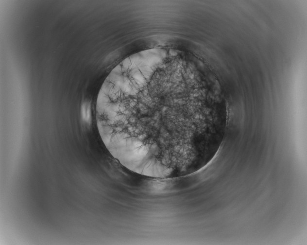 X0000111480094200908041131