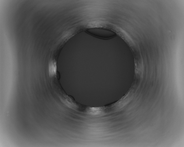 X0000111480095200908041131