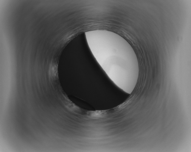 X0000111480096200908041131