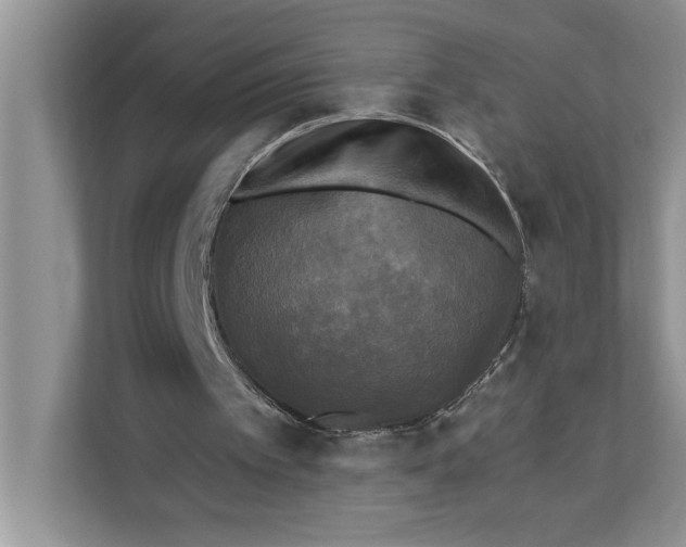 X0000111480097200908041130
