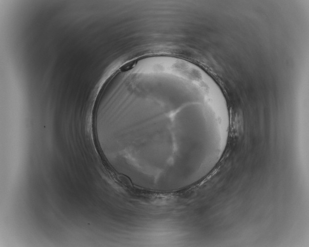 X0000111480099200908041130