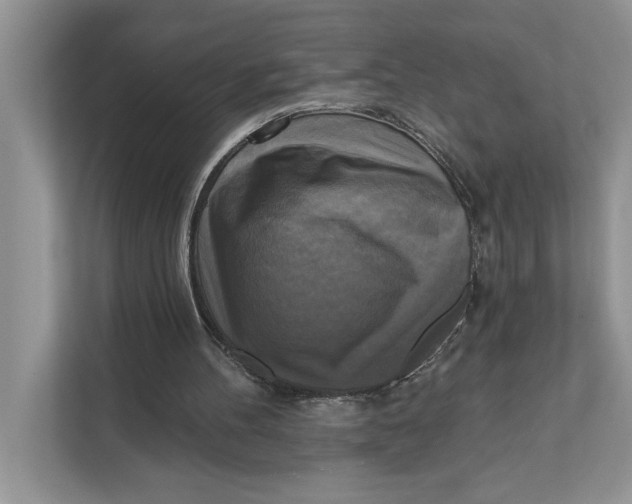 X0000111480100200908041130