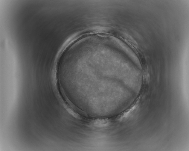 X0000111480101200908041130