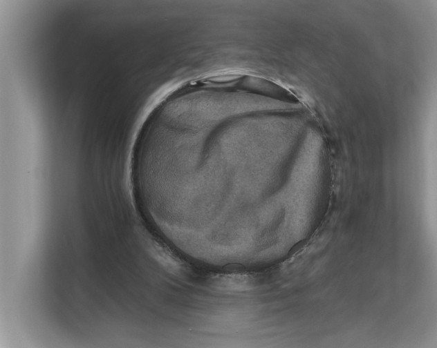 X0000111480104200908041130