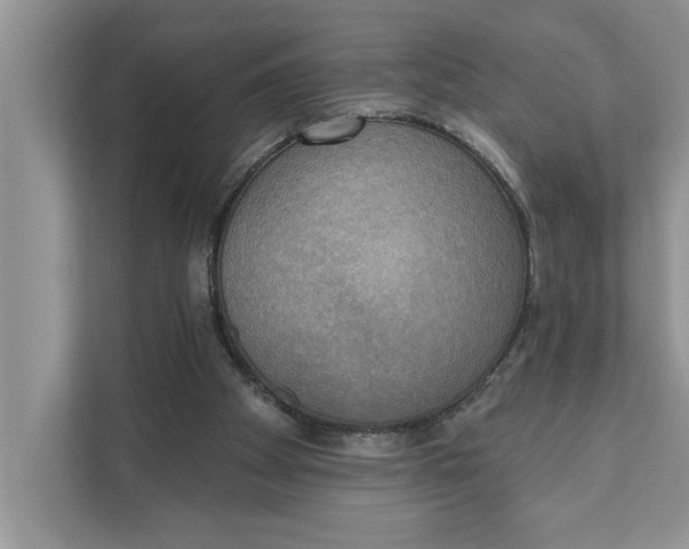 X0000111480105200908041130