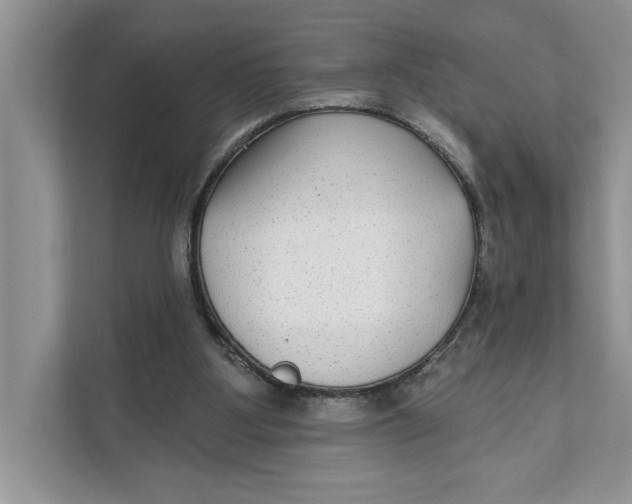 X0000111480107200908041130