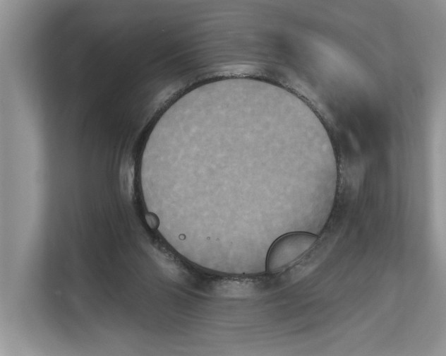 X0000111480110200908041130