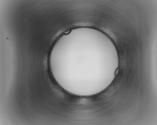 X0000111480111200908041130
