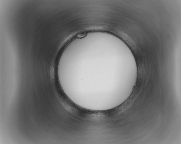 X0000111480112200908041130