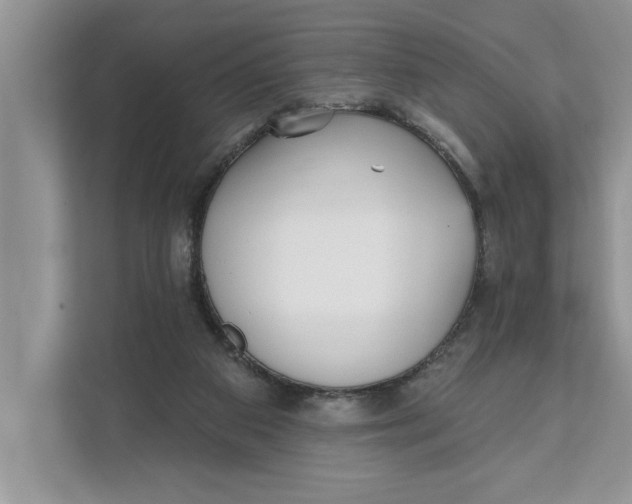 X0000111480113200908041130