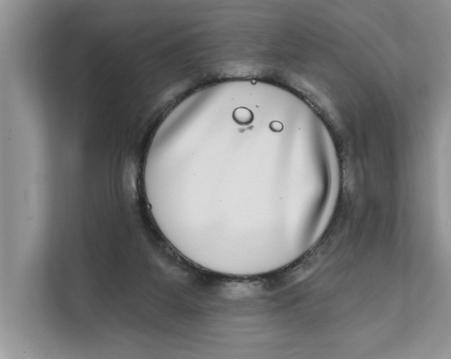 X0000111480115200908041130