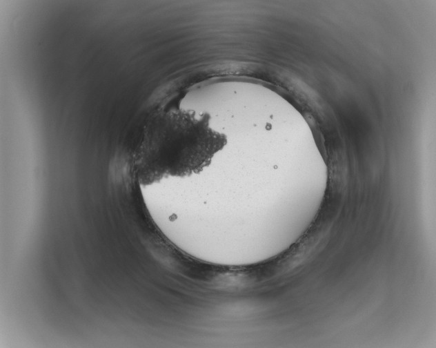 X0000111480119200908041130