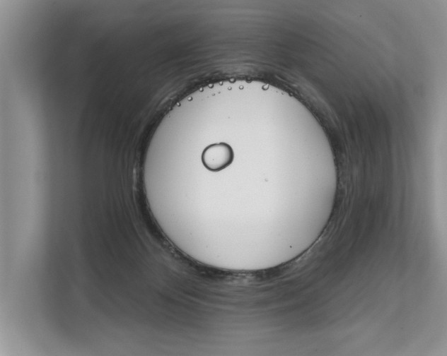 X0000111480124200908041130