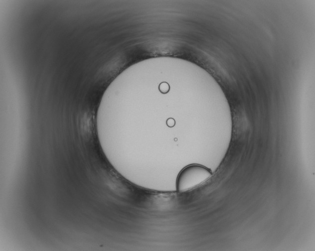 X0000111480126200908041130