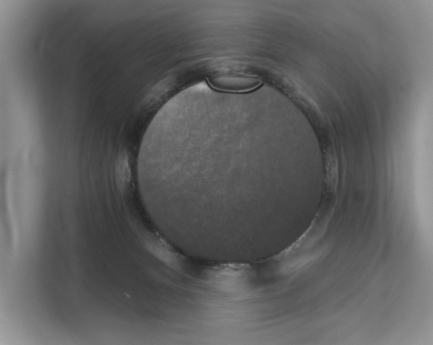 X0000111480128200908041130