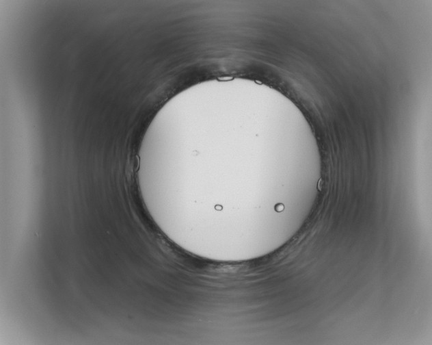X0000111480129200908041130