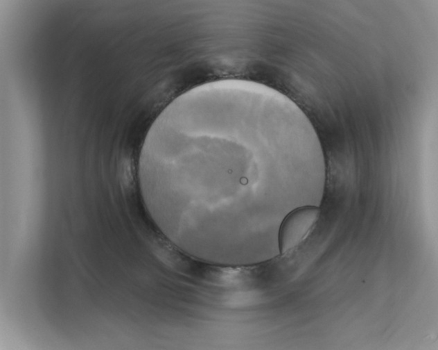 X0000111480130200908041130