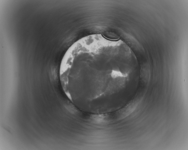 X0000111480131200908041130