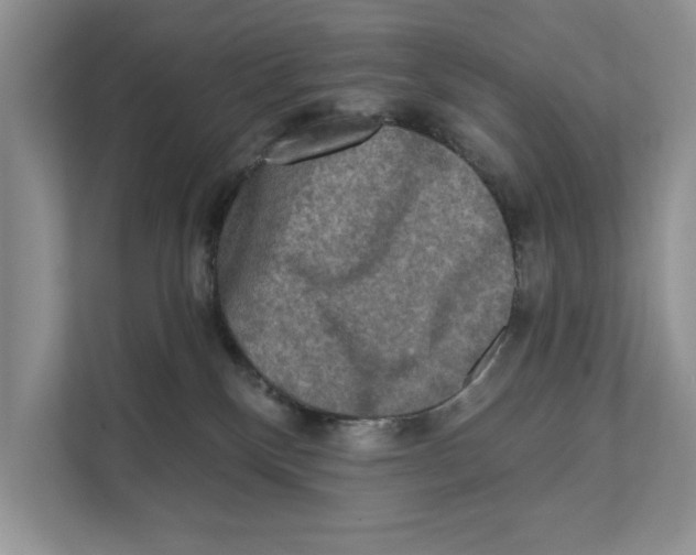X0000111480136200908041130