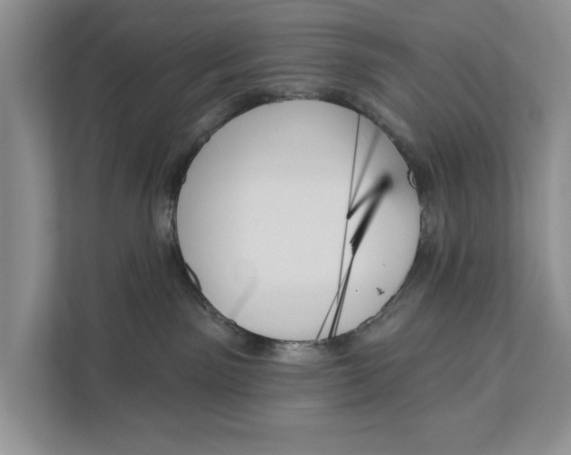X0000111480141200908041129
