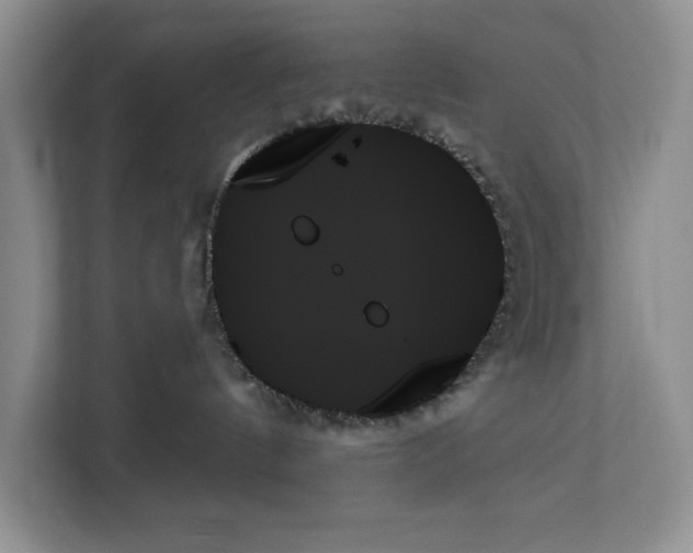 X0000111480144200908041129