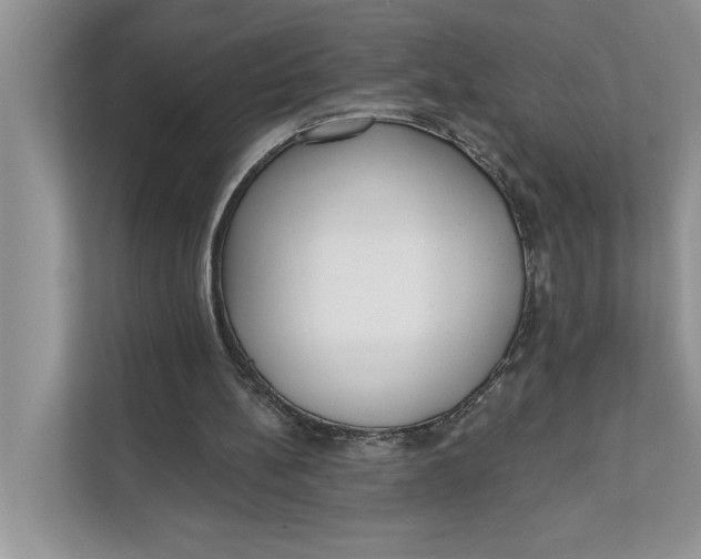 X0000111480148200908041129