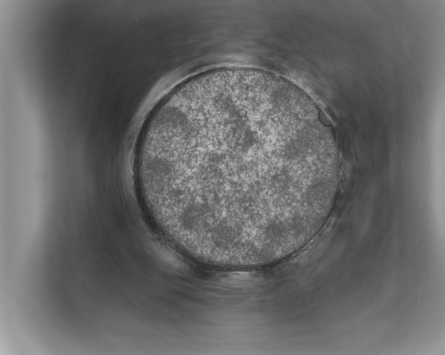 X0000111480151200908041129
