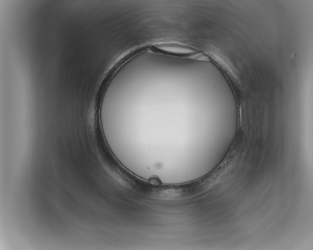 X0000111480156200908041129