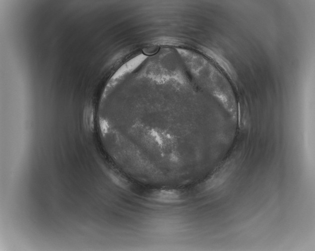 X0000111480157200908041129