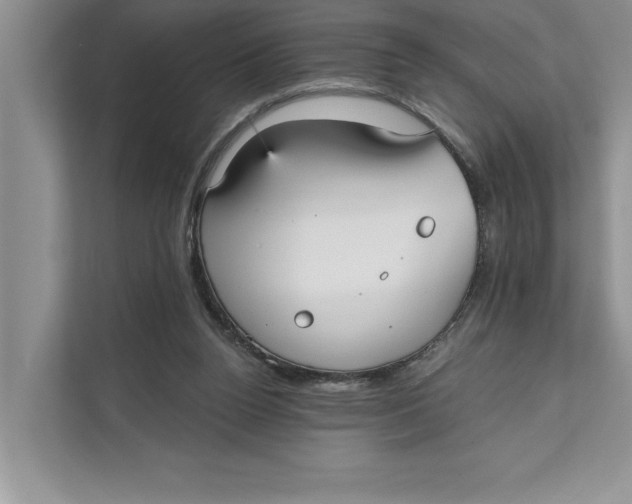 X0000111480160200908041129