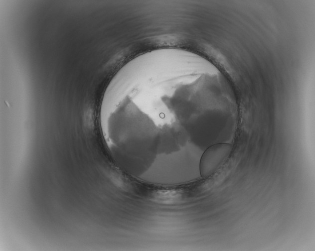 X0000111480161200908041129