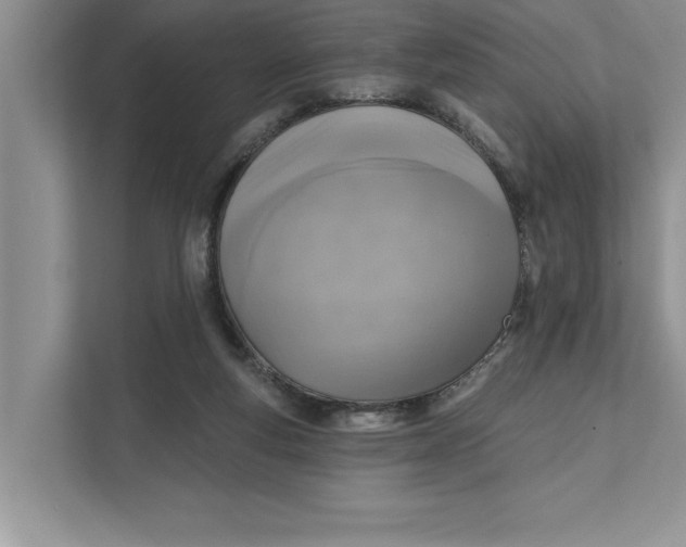 X0000111480163200908041129