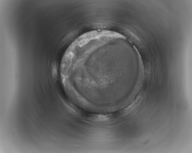 X0000111480166200908041129