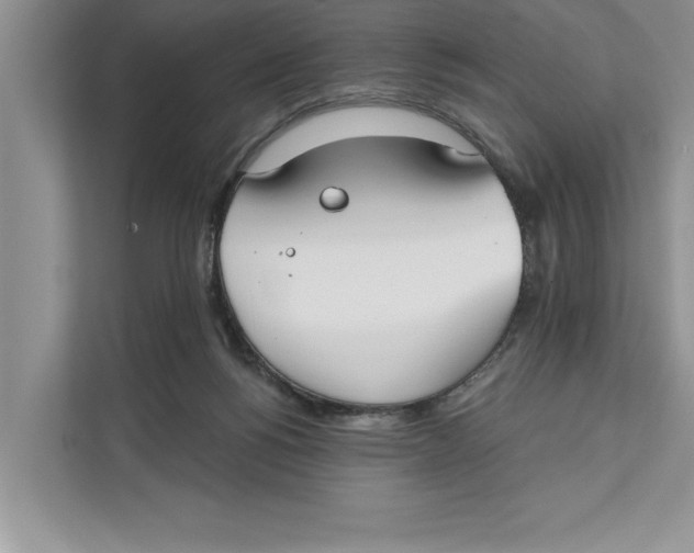 X0000111480168200908041129