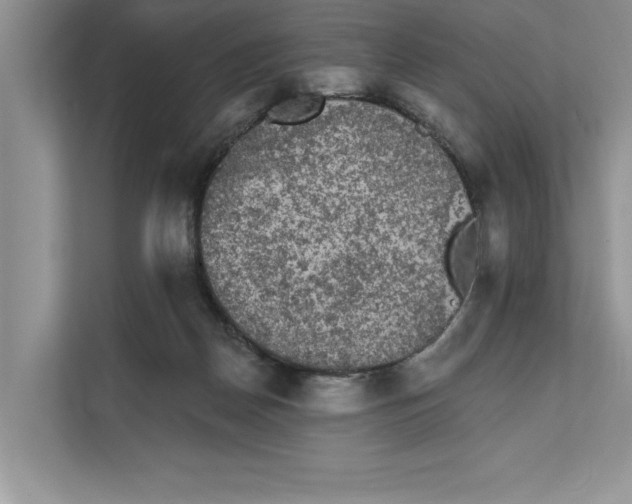 X0000111480170200908041129