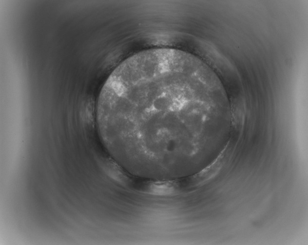 X0000111480175200908041129